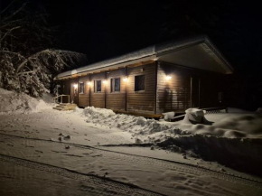 Trevligt lantligt boende i skogen